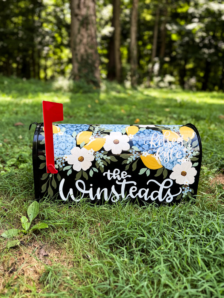 Custom painted Mailbox