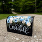 Custom painted Mailbox